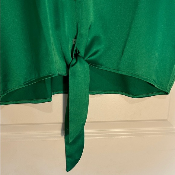 Rachel Zoe Emerald Button-Down Blouse - Picture 5 of 6
